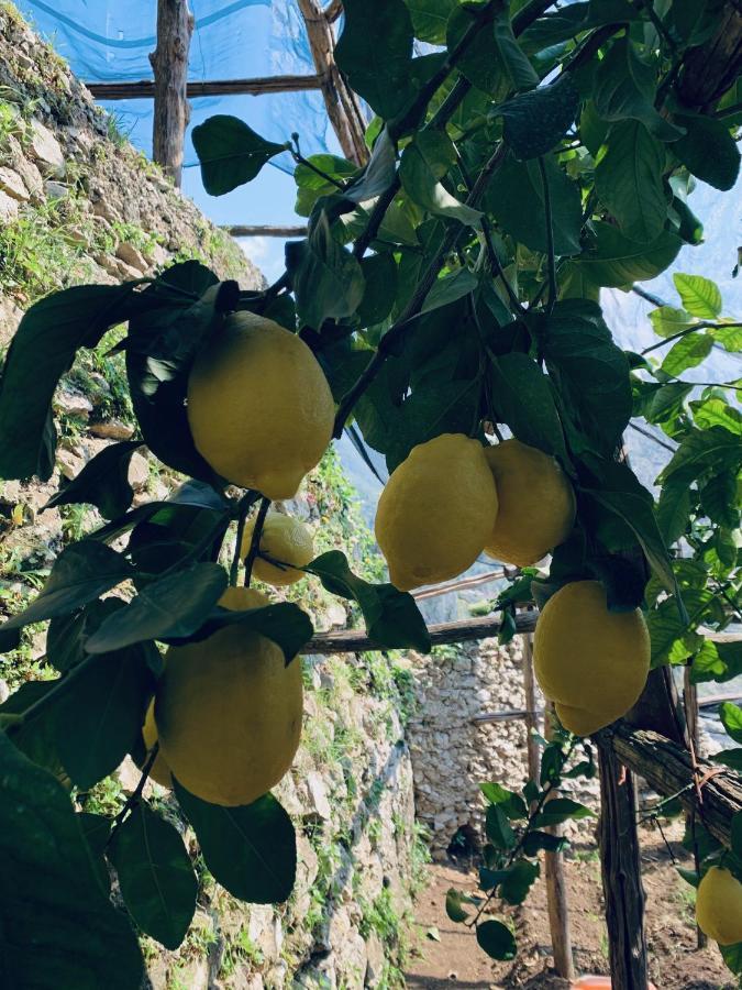 Il Giardino Dorato Villa Maiori Eksteriør bilde